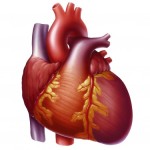 Nguyên nhân gây nhồi máu cơ tim