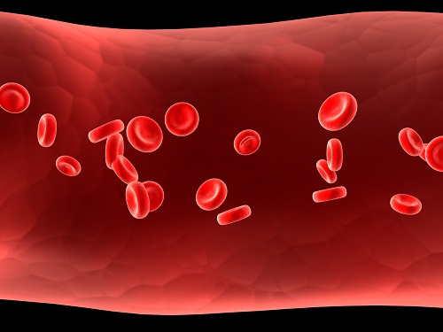 Cơ thể cần sắt để tạo hemoglobin - một protein trong các tế bào máu đỏ mang oxy từ phổi đến các mô của cơ thể.